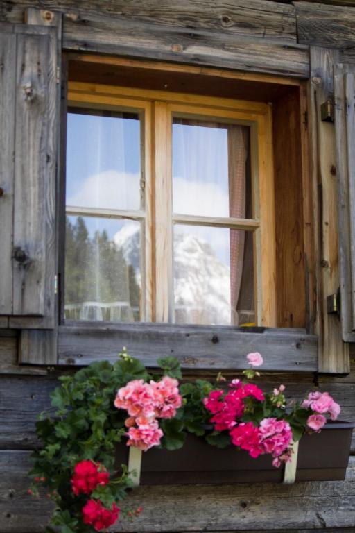 Alpengasthof Zollwirt Sankt Jakob in Defereggen Zewnętrze zdjęcie